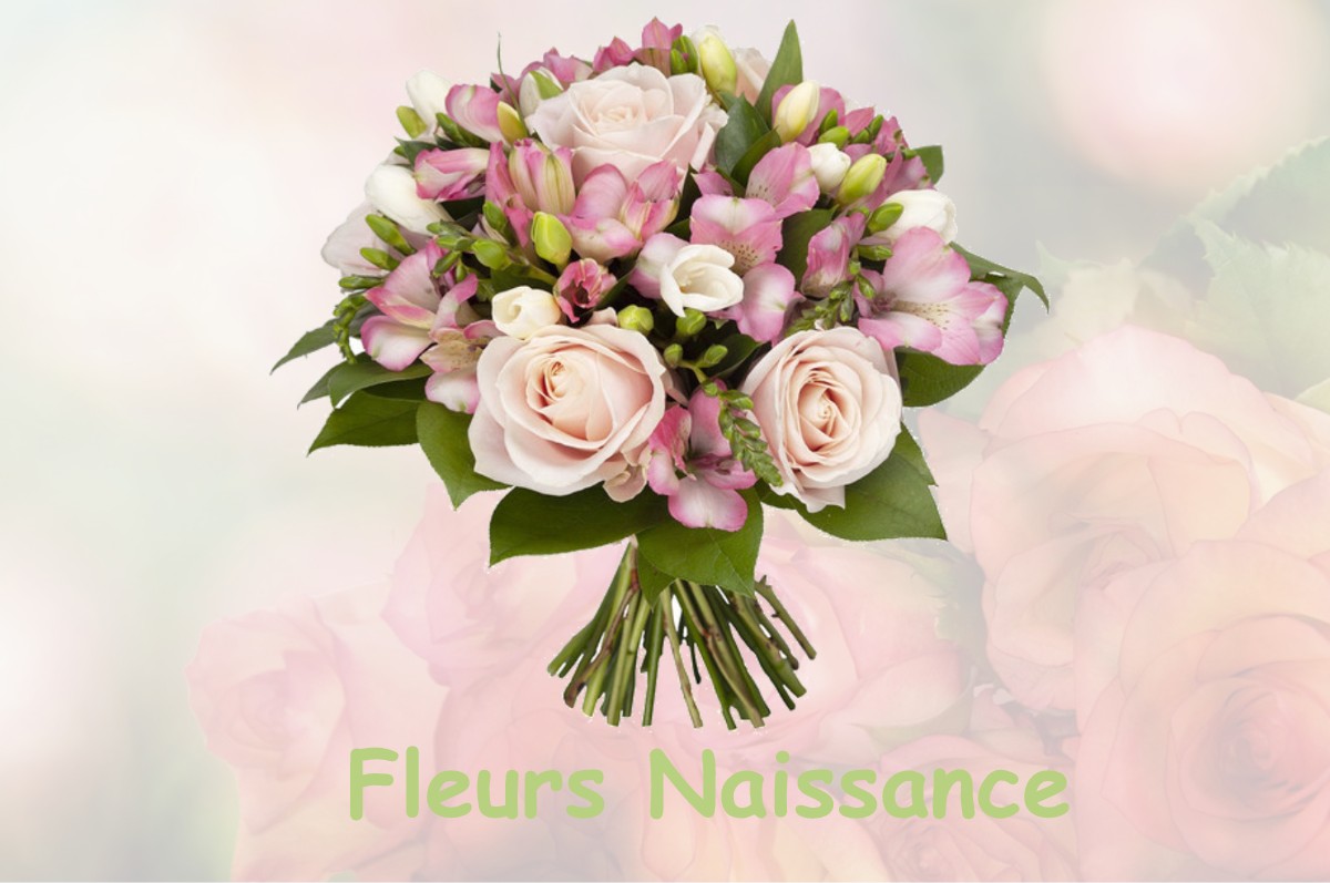 fleurs naissance VILLENEUVE-D-ENTRAUNES