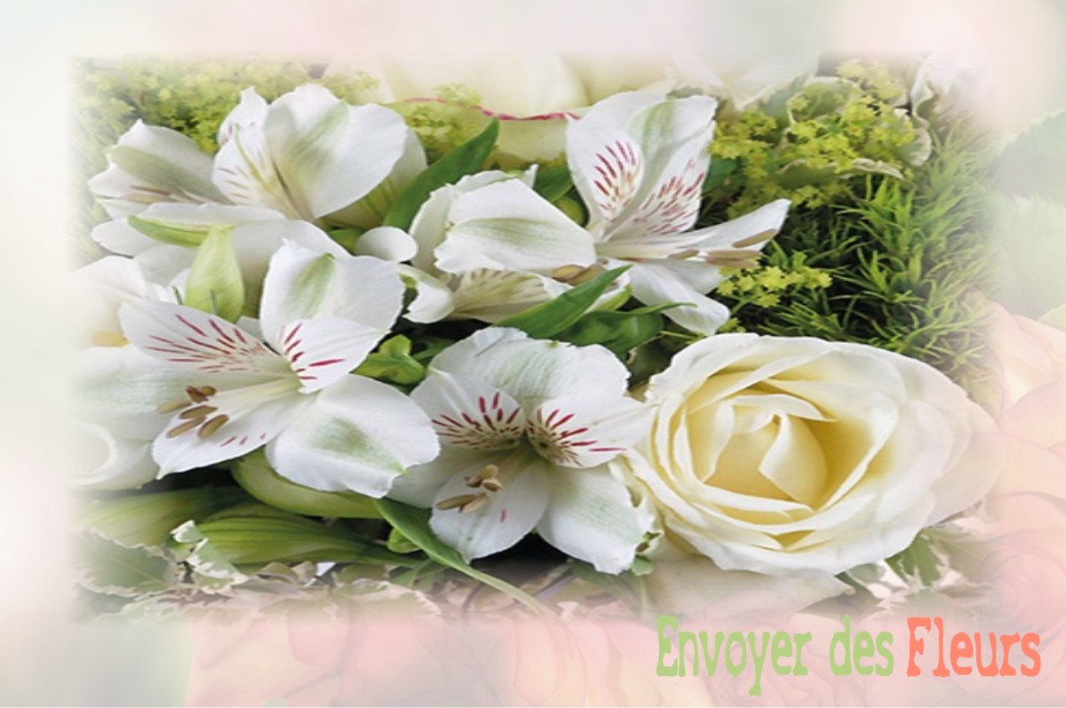 envoyer des fleurs à à VILLENEUVE-D-ENTRAUNES