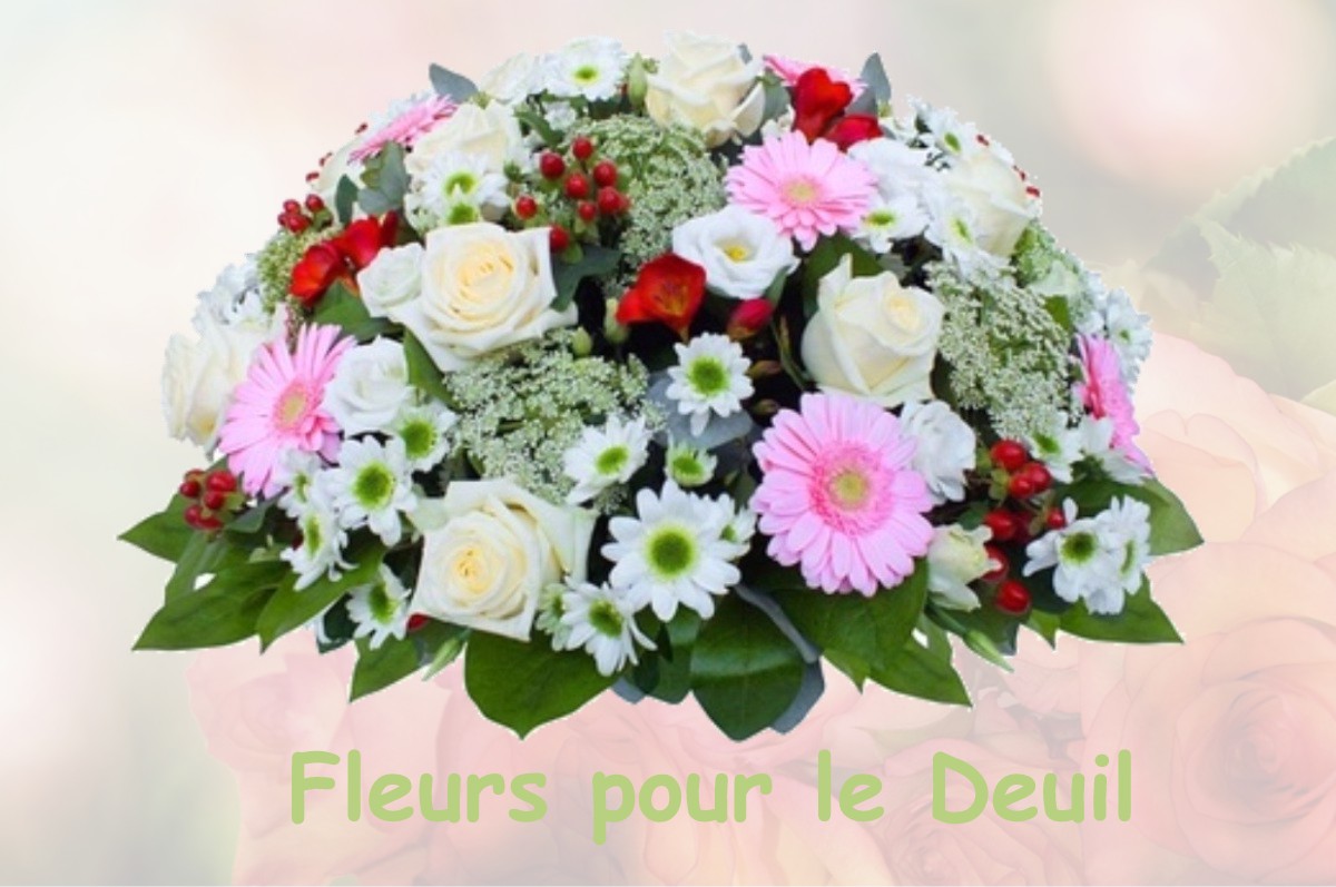 fleurs deuil VILLENEUVE-D-ENTRAUNES