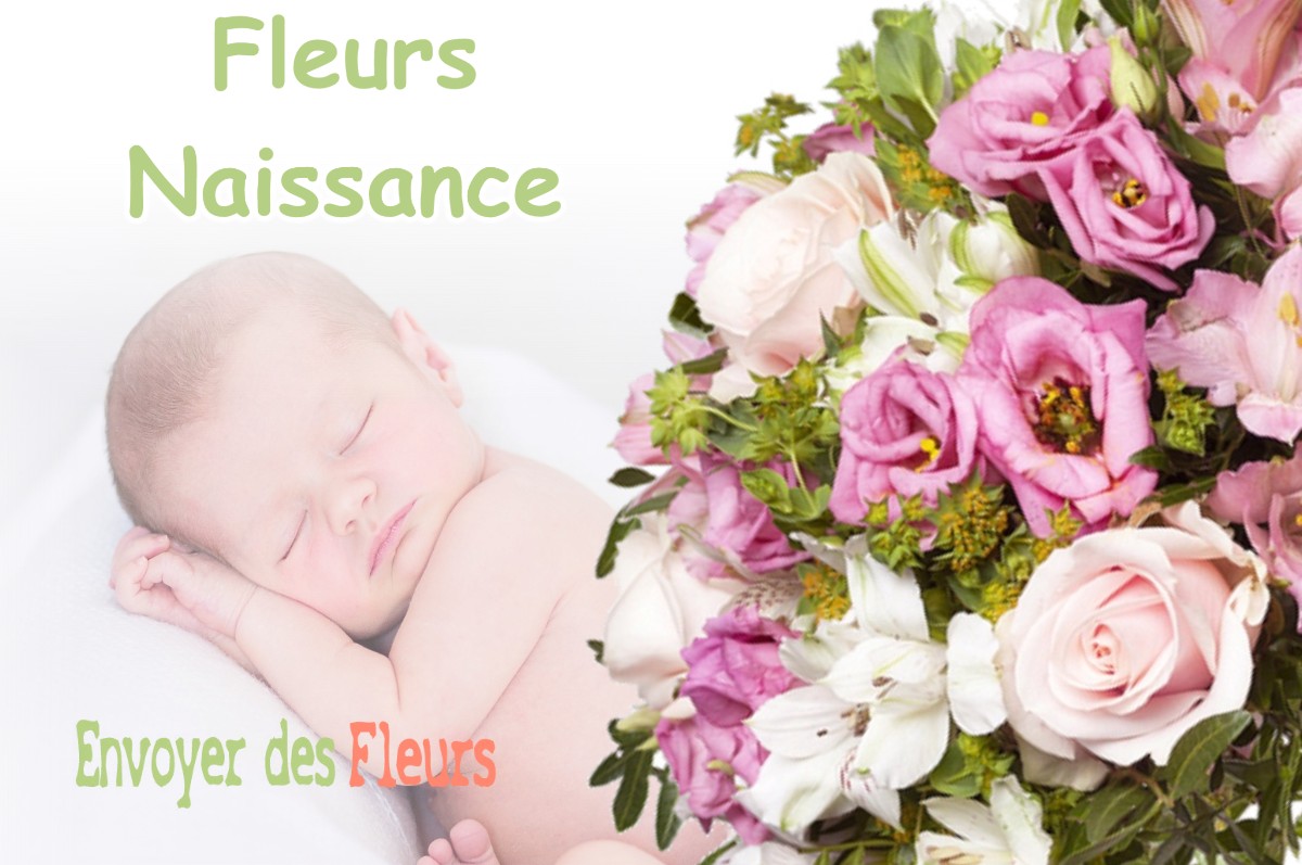 lIVRAISON FLEURS NAISSANCE à VILLENEUVE-D-ENTRAUNES